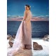 Misty Rose Aster Sharara