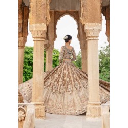 Desert Crocus Lehenga Choli