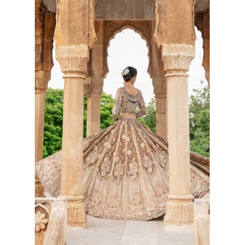 Desert Crocus Lehenga Choli