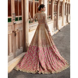 Dark Beige Crocus Lehenga Choli Dark Beige Crocus Lehenga Choli