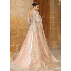 Light Pink Crocus Lehenga Choli