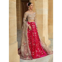 Earth Yellow Crocus Lehenga Choli