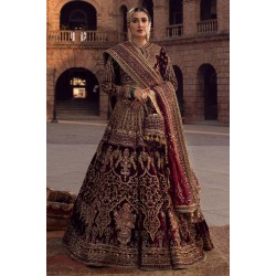 Cornell Red Monarch Lehenga Choli