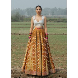 Salt Marsh Lehenga Choli