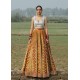 Salt Marsh Lehenga Choli