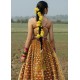 Salt Marsh Lehenga Choli