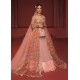 Melon Marsh Lehenga Choli