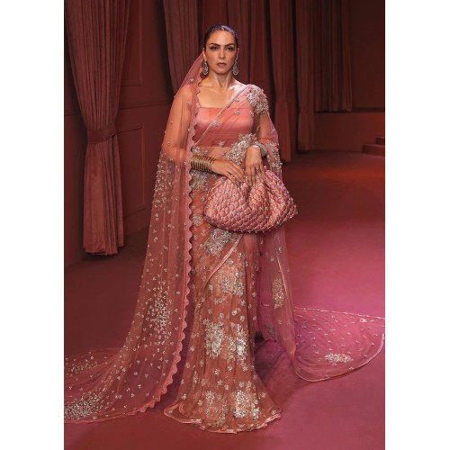 Traditional Indian Red Marsh Saree