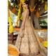 Desert Sand Snowflake Lehenga Choli Desert Sand Snowflake Lehenga Choli