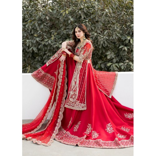 Imperial Red Snowflake Jacket and Lehenga Imperial Red Snowflake Jacket and Lehenga