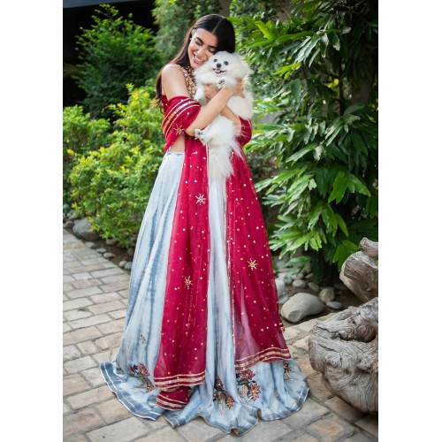 Deep Carmine Snowflake Lehenga