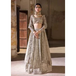 Silver Crayola Magnolia Choli Lehenga
