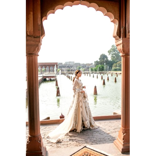 Almond Aster Lehenga