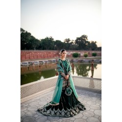 Dark Green Aster Gharara