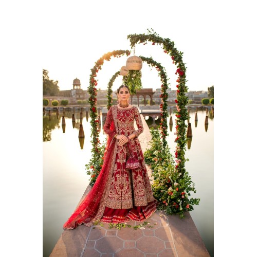 Deep Carmine Aster Lehenga