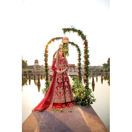 Deep Carmine Aster Lehenga