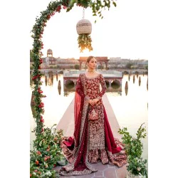 Carmine Aster Lehenga