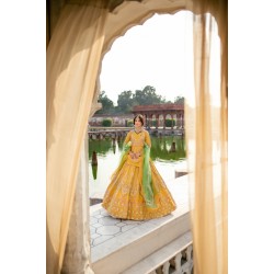 Selective Yellow Aster Pishwas Selective Yellow Aster Pishwas