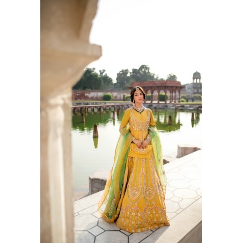 Selective Yellow Aster Pishwas