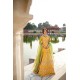 Selective Yellow Aster Pishwas