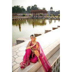 Amaranth Purple Aster Sharara Amaranth Purple Aster Sharara