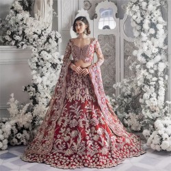 Fire Engine Red Iris Lehenga Choli