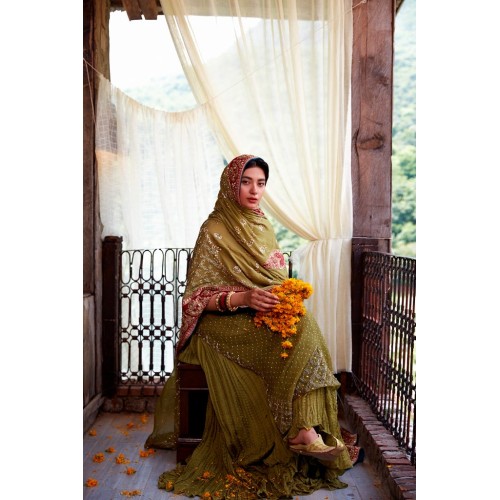 Antique Bronze Zephyr Lehenga