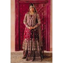 Chocolate Cosmos Wisteria Pishwas