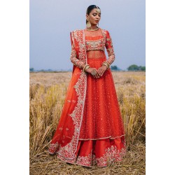 Tangelo Wisteria Pishwas