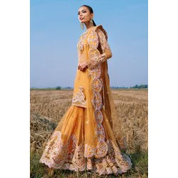 Orange Wisteria Gharara