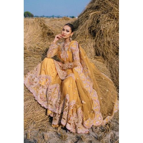 Orange Wisteria Gharara