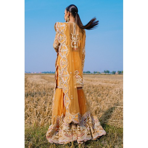 Orange Wisteria Gharara