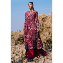 NCS Red Wisteria Pishwas