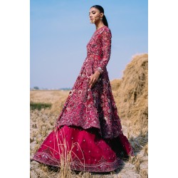 NCS Red Wisteria Pishwas