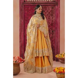 Orange Wisteria Pishwas