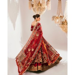 Carmine Coco Lehenga Choli Carmine Coco Lehenga Choli