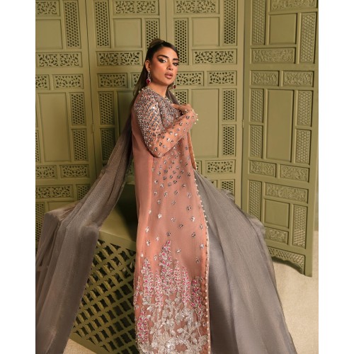 Dark Salmon Balsam Saree and Jacket