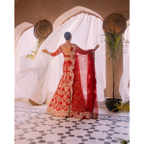 Carnelian Snowflake Lehenga Choli