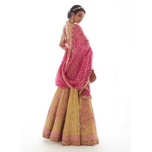 Amber Flora Lehenga Choli Amber Flora Lehenga Choli