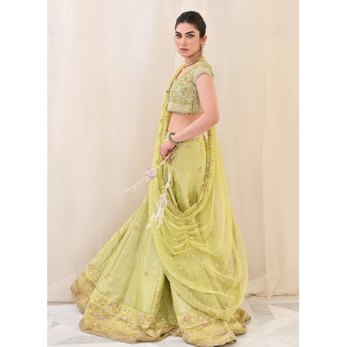 Citron Flora Lehenga Choli