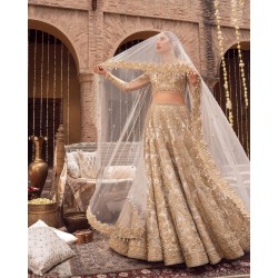 Champagne Blue Forsythia Lehenga Choli