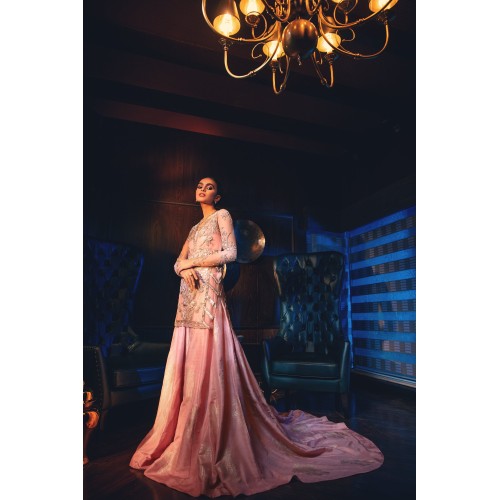 Light Salmon Pink Nerine Sharara Light Salmon Pink Nerine Sharara