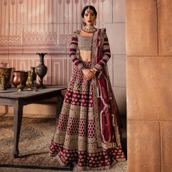 Chocolate Cosmos Nerine Lehenga Choli
