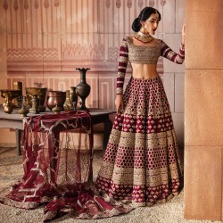 Chocolate Cosmos Nerine Lehenga Choli