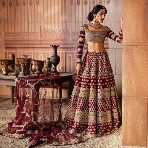 Chocolate Cosmos Nerine Lehenga Choli