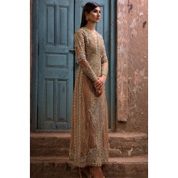 Coffee Nerine Sharara