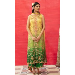 Golden Medow Ombre Nemesia Party Wear