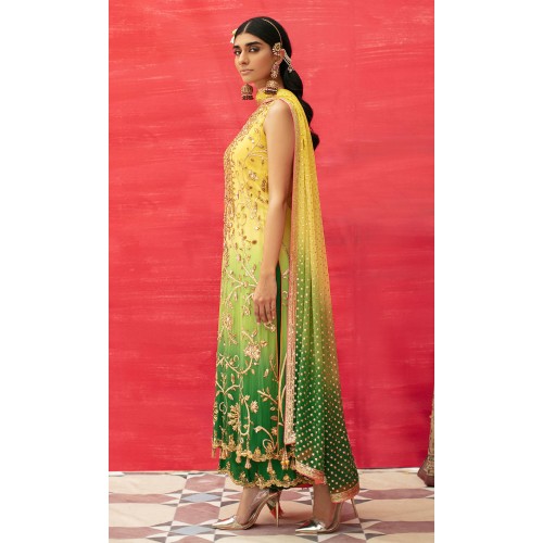 Golden Medow Ombre Nemesia Party Wear Golden Medow Ombre Nemesia Party Wear