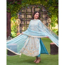 Crayola Sky Blue Nemesia Party Wear