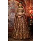 Chocolate Cosmos Nemesia Lehenga Choli